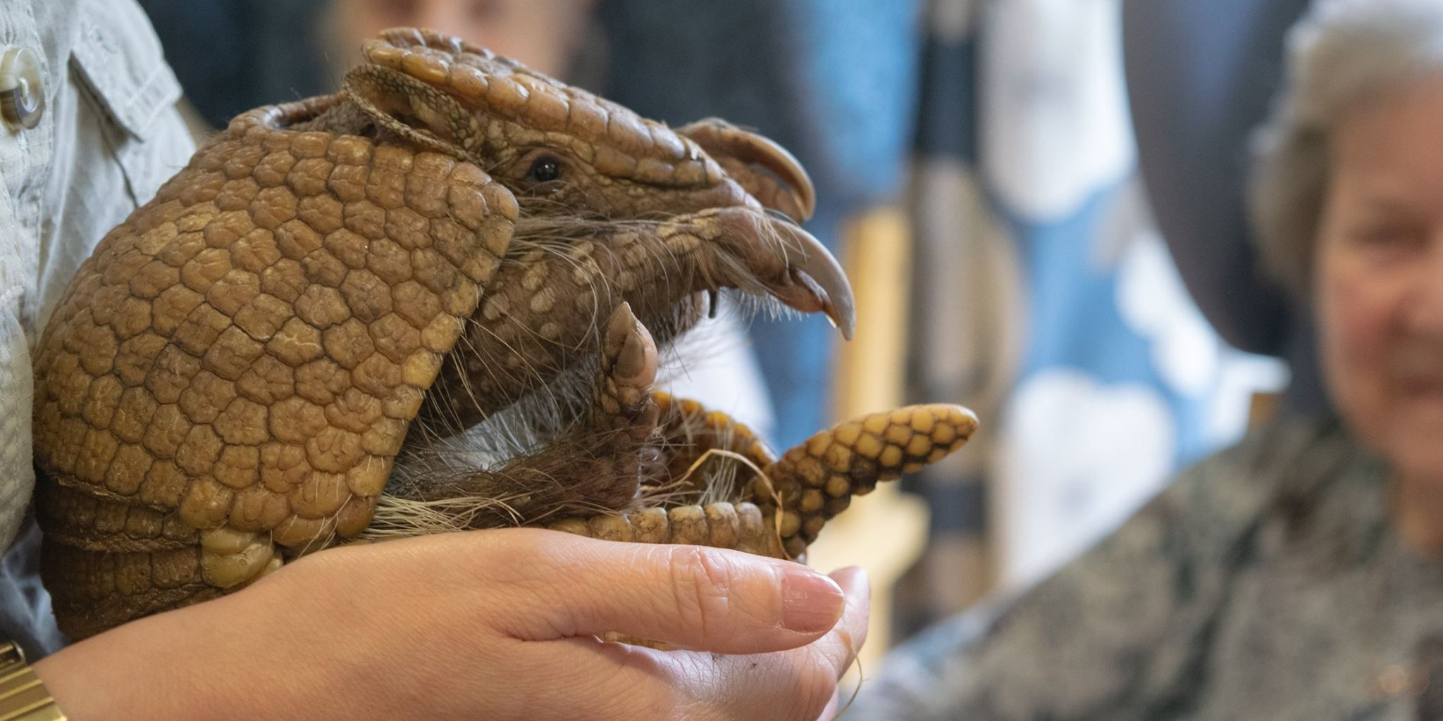 Animal Encounters